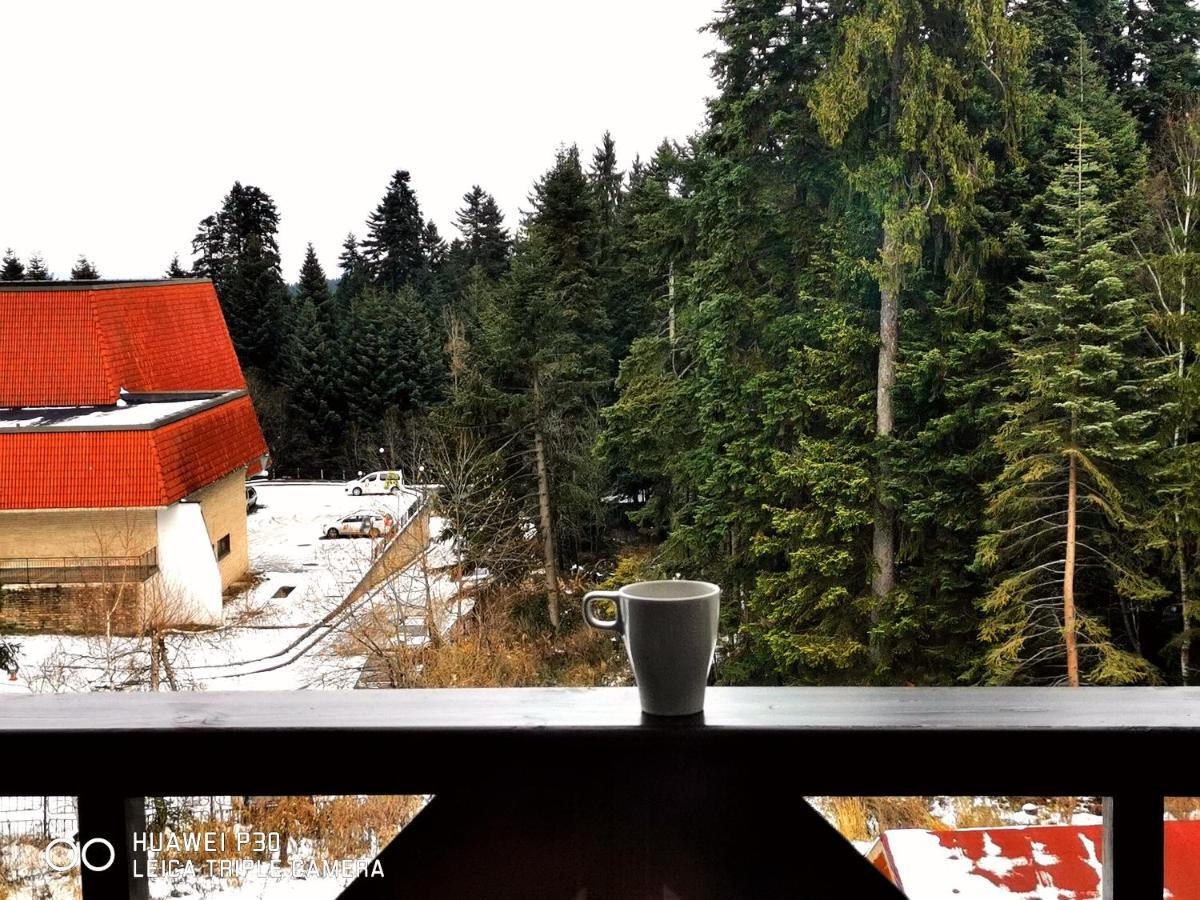 Apartment Iva - Iglika 2 Borovets Luaran gambar